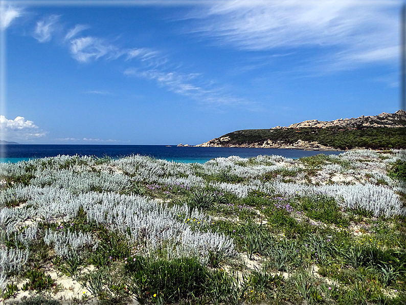 foto Spiagge a Santa Teresa di Gallura